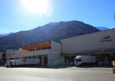 Degli 11 ettari che copre lo stabilimento della Mivor una parte e' dedicata alla lavorazione delle mele bio.