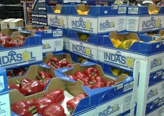 Per i peperoni, al momento ancora di origine spagnola, si sono raggiunti prezzi interessanti nella decima settimana del 2016, soprattutto per il peperone rosso che essendo quantitativamente meno disponibile ha spuntato prezzi tra 2,8 e 3 €/kg.