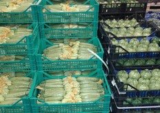 Aumenta la richiesta di zucchine a fiore fresco provenienti da Latina.