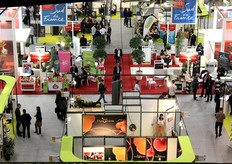 Si e' svolta la scorsa settimana (dal 26 al 28 aprile) a Perpignan, in Francia, l'edizione 2016 della fiera Medfel dedicata all'ortofrutta. Nell'occasione, i colleghi della redazione internazionale di FreshPlaza hanno realizzato un reportage fotografico dei principali espositori presenti, inclusi gli Italiani, che qui presentiamo.