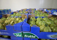 Pomodori Cuore di Bue a marchio Valfrutta pronti per la commercializzazione.