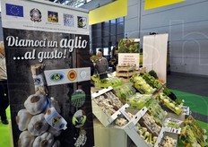 Valorizzazione grafica dell'aglio bianco Polesano.