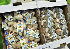 Confezioni di aglio bianco Polesano.