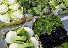 Mix di finocchi e lattuga allo stand Fai.