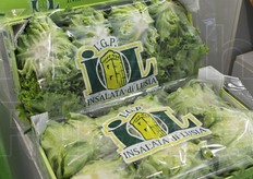 L'insalata Igp di Lusia.