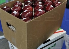 Mele destinate all'export da parte dell'azienda Morando.