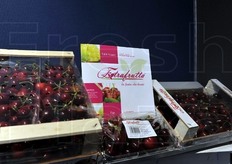 Ciliegie della pugliese Extrafrutta.