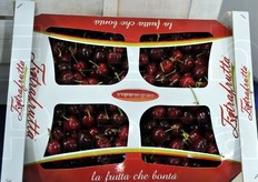 Confezione da 5 kg di ciliegie Extrafrutta.