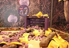 La Surgital ha iniziato a produrre dei ravioli surgelati con un ripieno a base di patate viola.