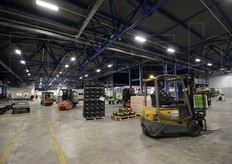 Durante le operazioni di carico dei camion in partenza.