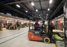 La nuova area e' occupata interamente, al 100%.