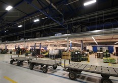 Sono 16 gli operatori grossisti che occupano il NAM - Nuova Area Mercatale.