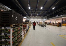 "Il percepito dei clienti e' quello di un mercato piu' compatto e pieno", spiega Lauro Guidi, presidente del Consorzio Agribologna."