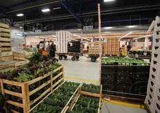 "A fronte del trasferimento del 2000 da via Fioravanti (in quello che e' stato il mercato di Bologna fino al 2016), con risultati disastrosi per giorni, questa volta i problemi di assestamento dell'attivita' sono stati risibili", spiega Renzo Mainetti, grossista e presidente di Fedagromercati Acmo Bologna."