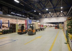 Un momento di attvita' all'interno del nuovo mercato ortofrutticolo di Bologna.