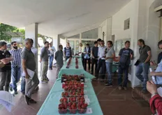 La mostra pomologica allestita in occasione dell'incontro tecnico sulla fragola organizzato in data 26 maggio 2015 presso l'azienda sperimentale Astra - Unita' operativa Martorano 5 di Cesena.