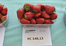 Buone caratteristiche anche per la FC140.13.