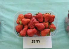 Una varieta' apprezzata, la Jeny.