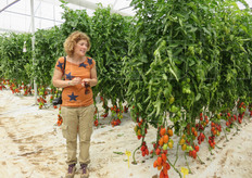 Simona Toloni (product manager SAIS) nella serra sperimentale.