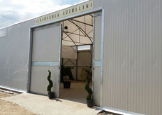 L'Azienda Azzollini e' una tra le piu' storiche imprese del territorio di Molfetta (in provincia di Bari) ed e' specializzata nella coltivazione di pomodoro da mensa e cetriolo fuorisuolo.