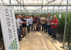 Quest'anno l'azienda ha scelto di coltivare Quinto (collettato), Cordobesa (collettato ovale) e Minuto (mini cetriolo), tre nuove varieta' della Top Seeds Italia. Foto di gruppo in serra.