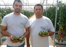 Azzollini Giuseppe e Sergio.