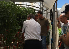 Il sig. Carocci coltiva ormai Kronosty da 3 anni aumentando a ogni ciclo le superfici ad esso dedicate.