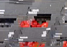 E pomodori a grappolo.