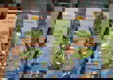 Presenti in qualche box anche insalate di IV gamma di origine italiana. In foto: rucola a marchio Mioorto.