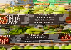 Pere della Catalogna.