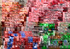 Assortimento di cipolle.