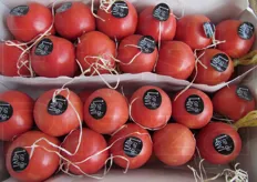 "Tomates de penjar" spagnoli di qualita' extra."