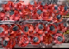 "Tomates de penjar" spagnoli di qualita' extra."