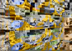 Confezioni da 17 kg netti di Platano de Canarias.