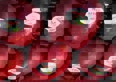 "Iniziativa promozionale. "No importa como te llames, ahora tu manzana Livinda se llama como tú (Non importa quale sia il tuo nome, ora le mele Livinda si chiamano come te)!"."