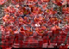 Bicchieri di pomodori ciliegino di origine spagnola.