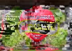 Lattuga baby confezionata.