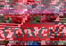 Disponibili anche fragole spagnole.