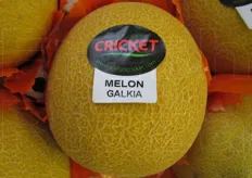 "Melone Galia. "Calidad por naturaleza"."