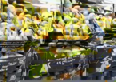 Pere de Rincon de Soto IGP-Indicazione geografica protetta.