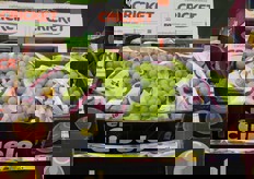 Uva bianca di Murcia.