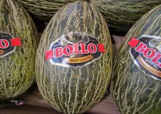 Meloni extreme quality.