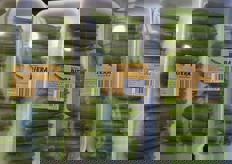 Mini zucchine della Catalogna, confezionate in vassoio. Varieta': Mastil F1.