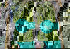 "La esencia de brocoli": broccoli di origine spagnola, confezionati in vassoio filmato, con ricetta suggerita, diversa da pack a pack."