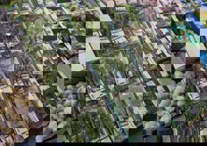 Offerta di erbe aromatiche confezionate.