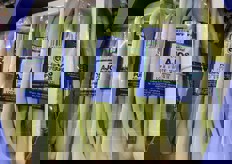 Porro spagnolo in vassoio filmato.