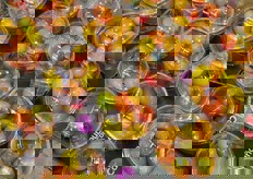 Bicchieri di pomodorini.