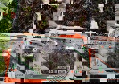 Lollo rossa spagnola.