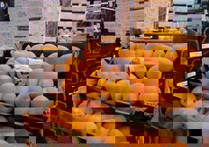 Pesche gialle spagnole di grande qualita'.