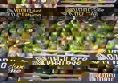 Pomodoro di varieta' Otelo, coltivato nella Penisola Iberica.